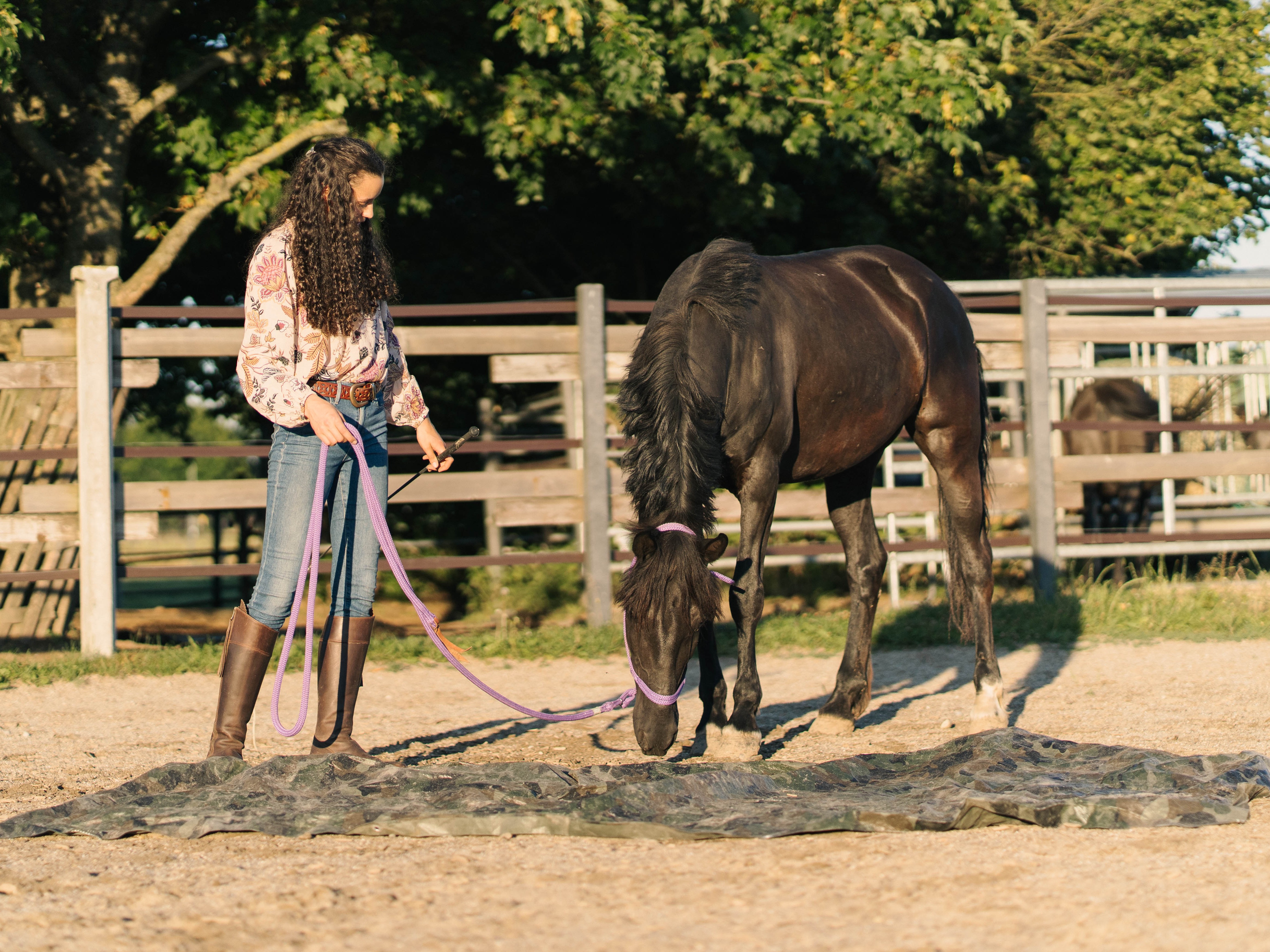 Schrecktraining fürs Reiten